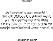 FOTO INEKE CLARIJS