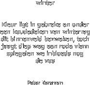 FOTO JOHAN ABBINK