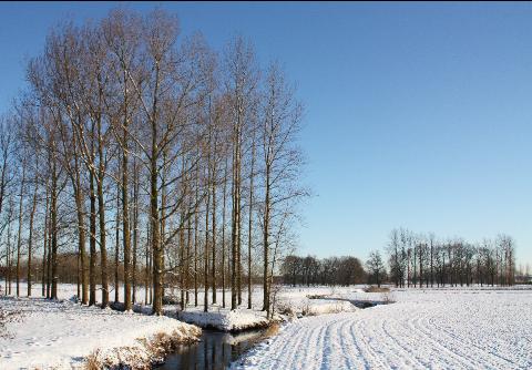markmerkskes