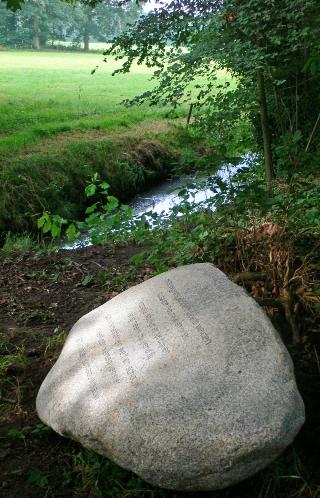 p113steenplek